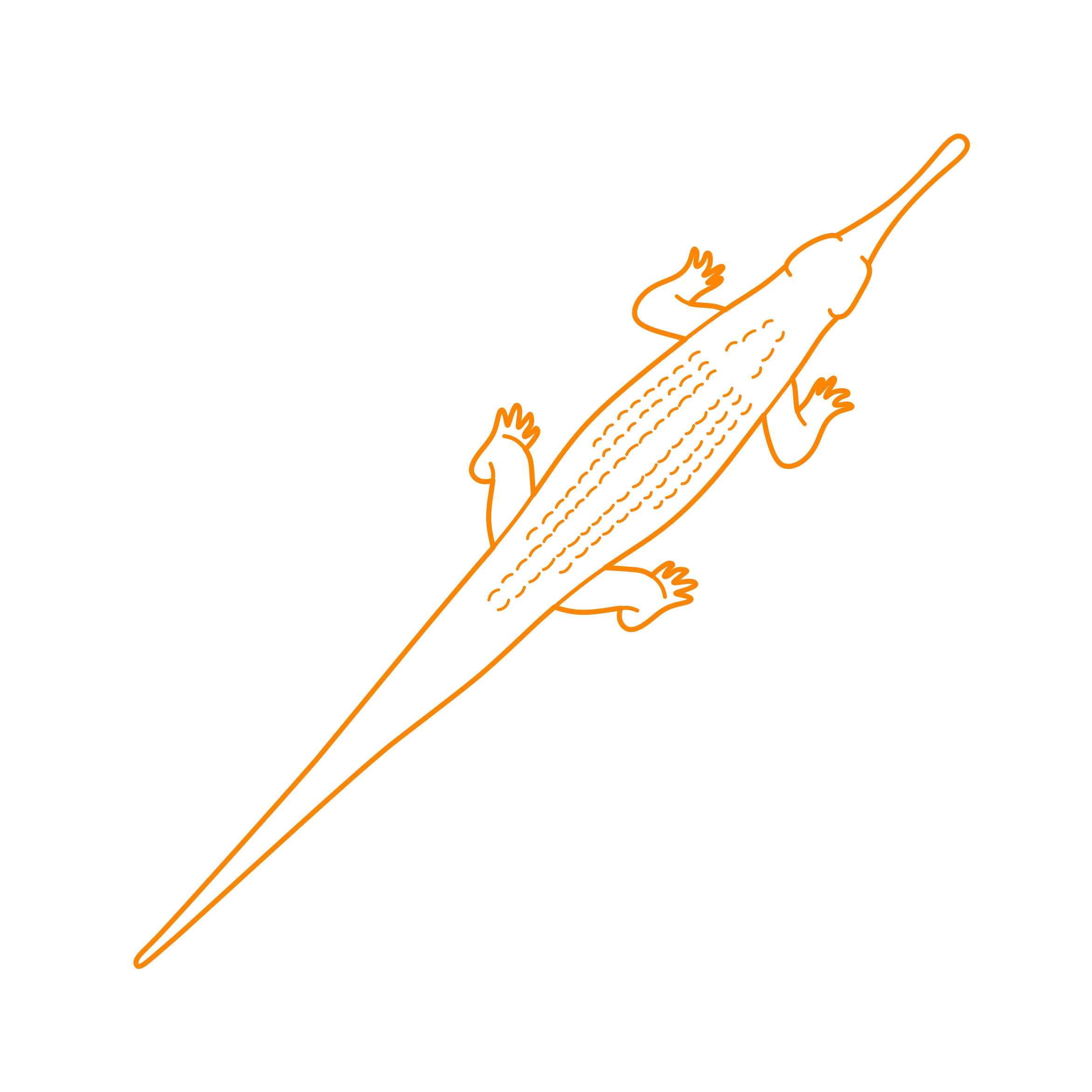 Animals Crocodilians Gharial Icon Svg Vector Free Vectors